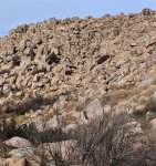 PXL_20210131_202837563.jpg PXL_20210131_202837563.jpg