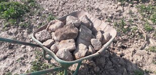 20210602_164530.jpg 20210602_164530.jpg