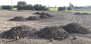 20210612_190405.jpg 20210612_190405.jpg