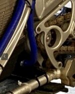 1624904825087.jpeg 1624904825087.jpeg