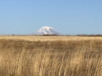 IMG_0685.JPG IMG_0685.JPG