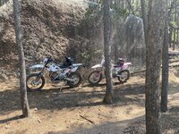 IMG_8915.JPEG IMG_8915.JPEG