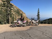 IMG_8925.JPEG IMG_8925.JPEG