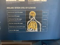 IMG_8938.JPEG IMG_8938.JPEG