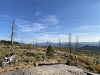 IMG_8994.JPEG IMG_8994.JPEG