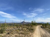 IMG_8993.JPEG IMG_8993.JPEG