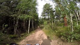 IMG_8988.JPG IMG_8988.JPG