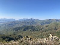 IMG_9096.JPEG IMG_9096.JPEG