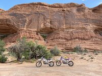 IMG_9106.JPEG IMG_9106.JPEG