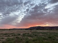 IMG_9104.JPEG IMG_9104.JPEG