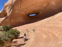 IMG_9182.JPEG IMG_9182.JPEG