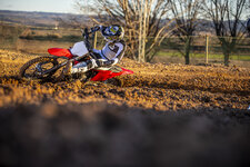 237750_stark__p4i8210.jpg 237750_stark__p4i8210.jpg