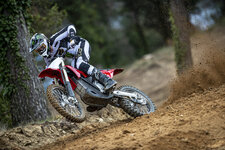 237777_starkf_actionr2_joshhill__0898.jpg 237777_starkf_actionr2_joshhill__0898.jpg