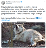 fetvarg.png fetvarg.png