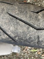 7BB5443D-1322-4756-91B5-D50614F2B366.jpeg 7BB5443D-1322-4756-91B5-D50614F2B366.jpeg