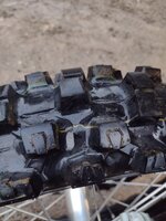 IMG_20220727_194756208.jpg IMG_20220727_194756208.jpg