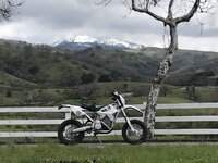 4F74352A-AD04-4B57-B21C-49F3EF38C8FE.jpeg 4F74352A-AD04-4B57-B21C-49F3EF38C8FE.jpeg