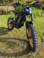 IMG_0813.jpeg IMG_0813.jpeg